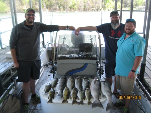 Nice Striped Bass